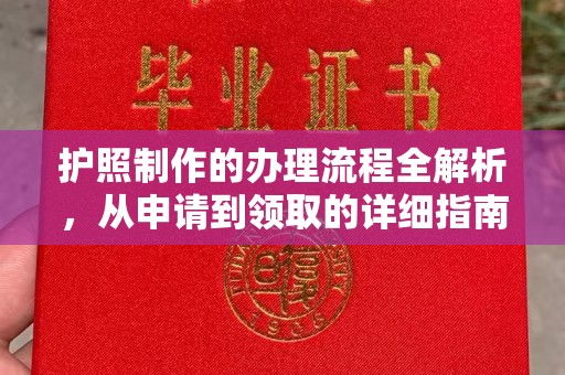林芝护照制作的办理流程全解析，从申请到领取的详细指南