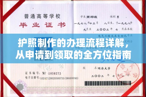 林芝护照制作的办理流程详解，从申请到领取的全方位指南