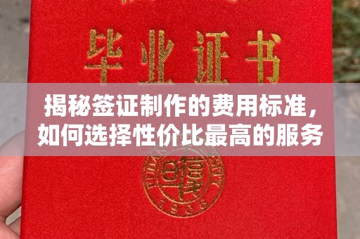 林芝揭秘签证制作的费用标准，如何选择性价比最高的服务？