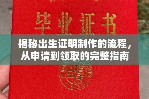 林芝揭秘出生证明制作的流程，从申请到领取的完整指南