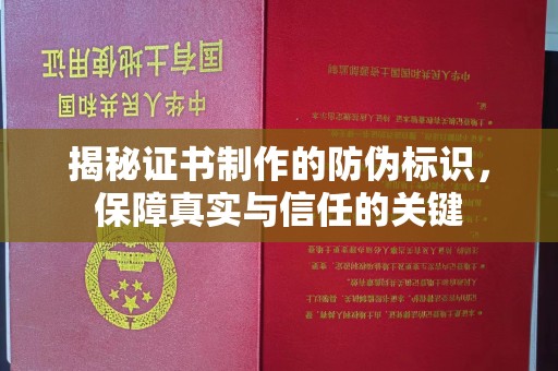 林芝揭秘证书制作的防伪标识，保障真实与信任的关键