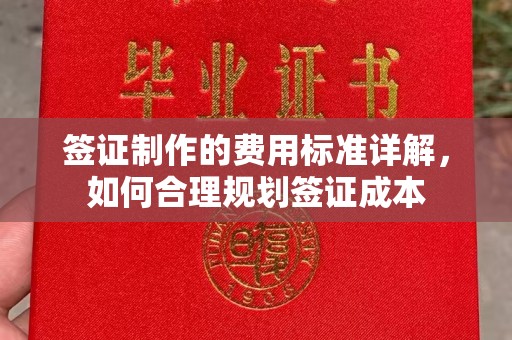 林芝签证制作的费用标准详解，如何合理规划签证成本